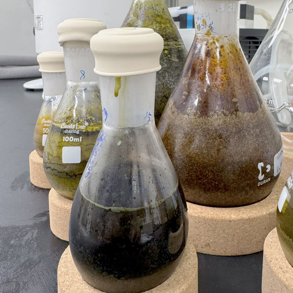 크로마토그래피